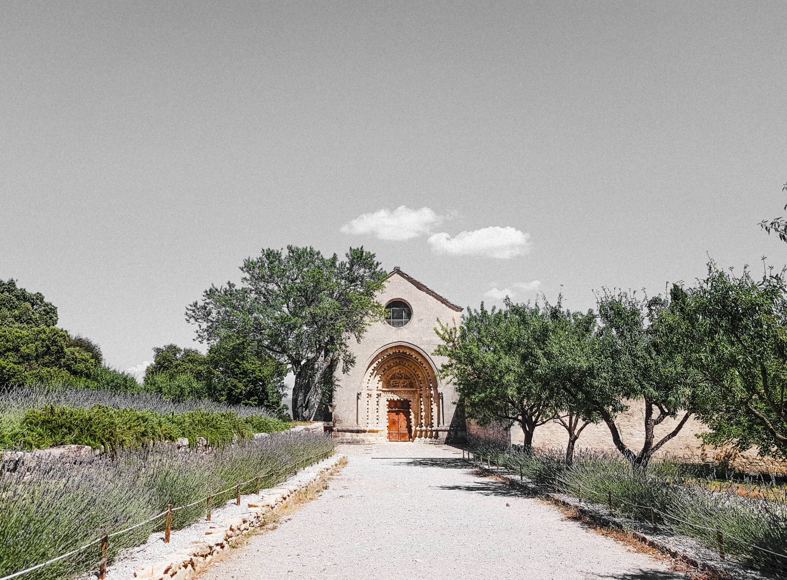dirt track leading to a religious building surrounded by olive trees and lavender bushes