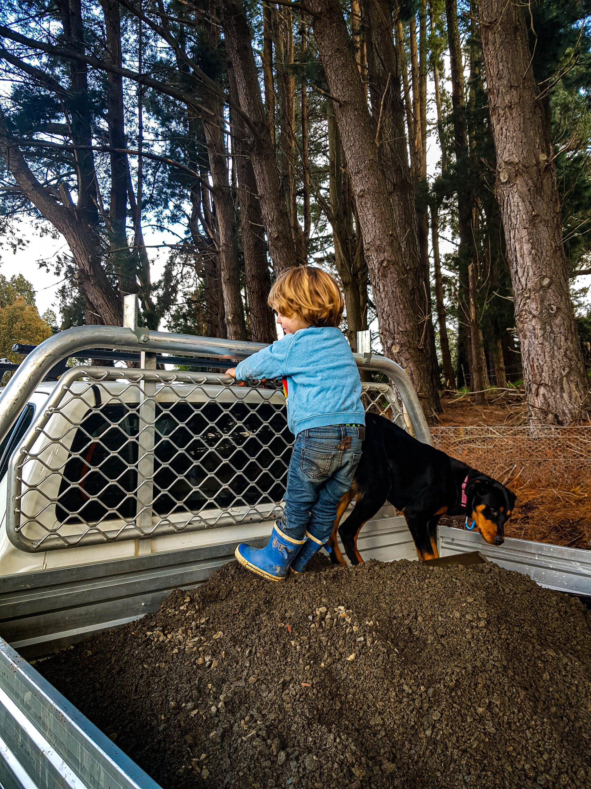 child and dog in the back of a pick-up truck