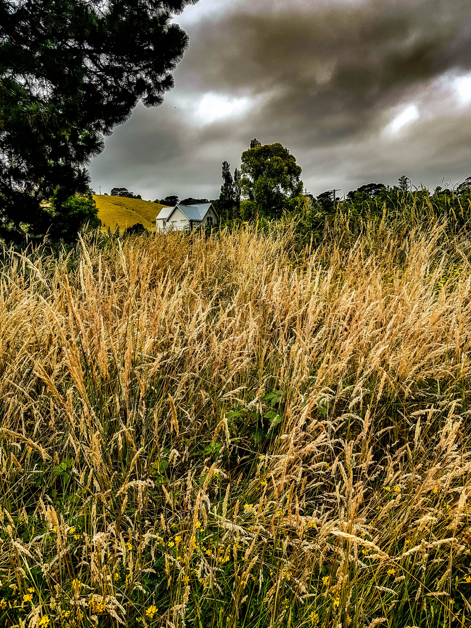 field and house in the background under a stormy sky