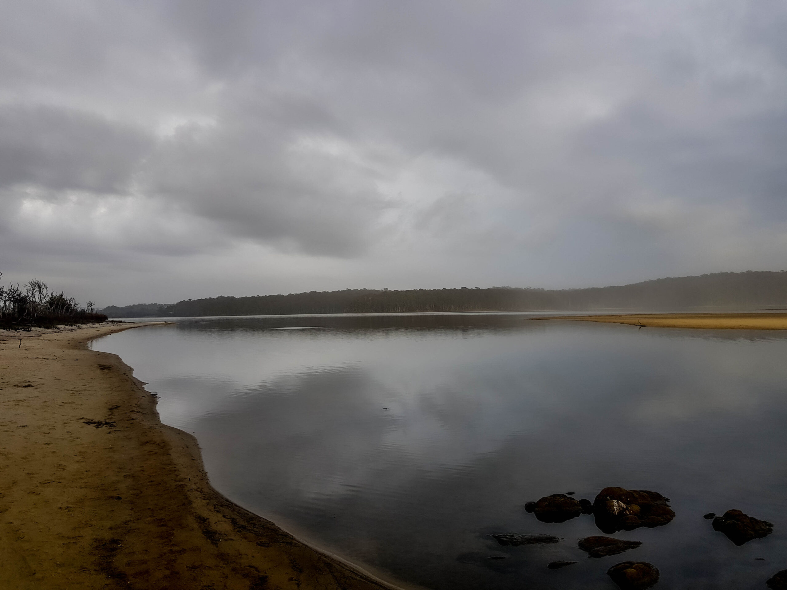 view of a lake surrounded by forest at dawn