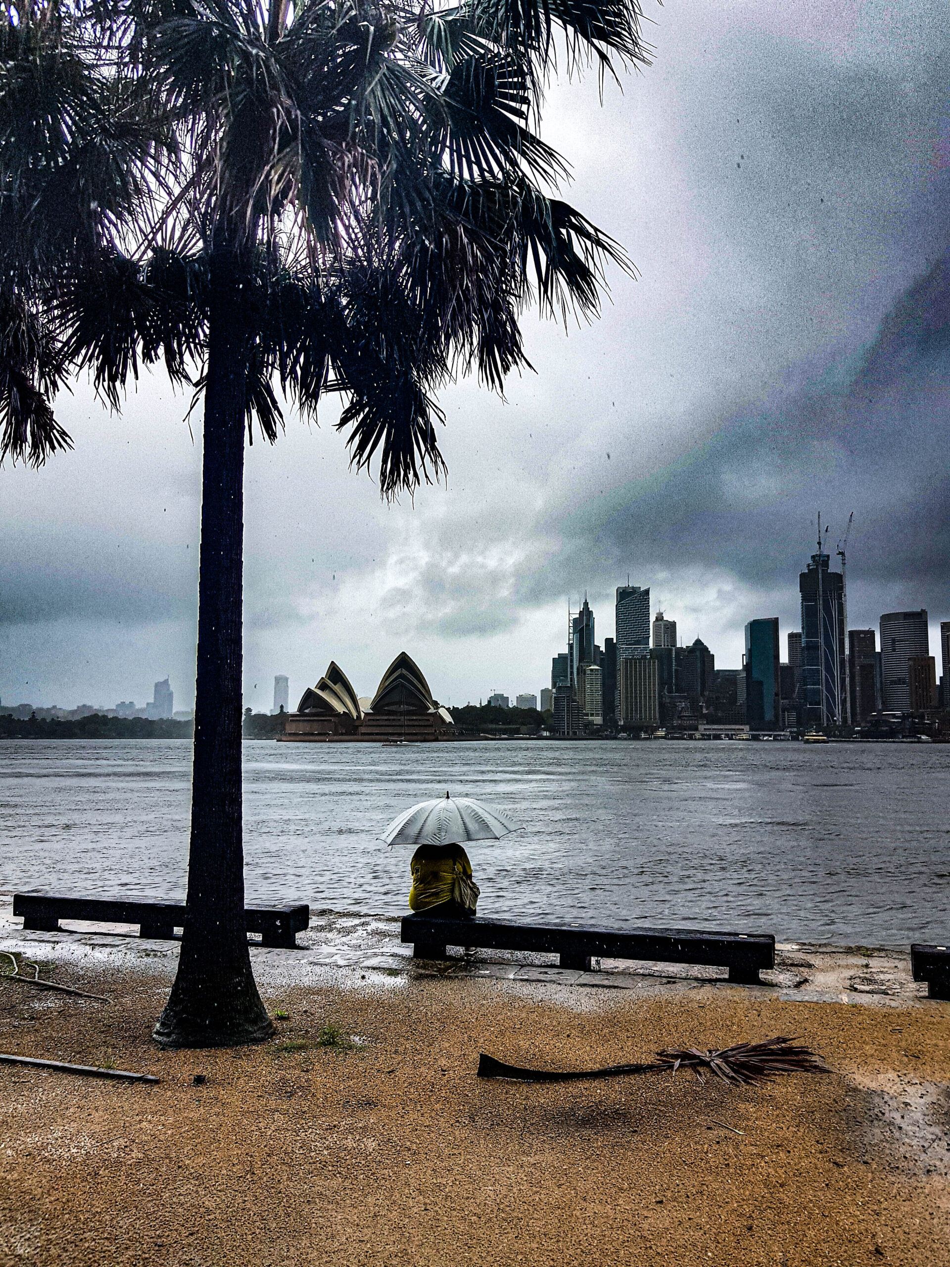 woman under an umbrella sitting on a bench watching the rain fall
