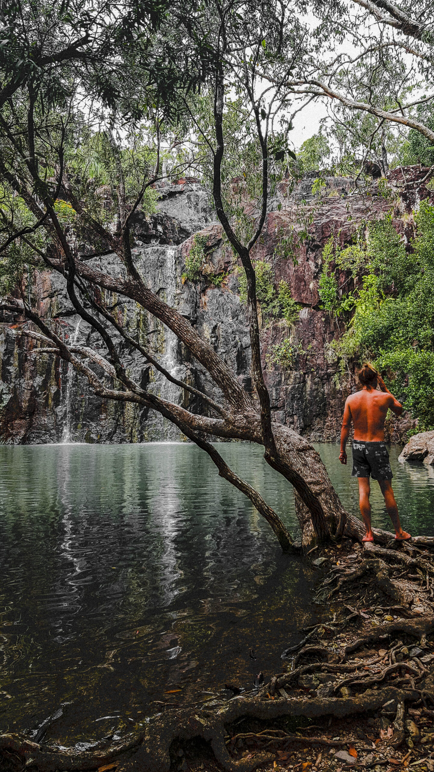 man watching the waterfalls in Darwin